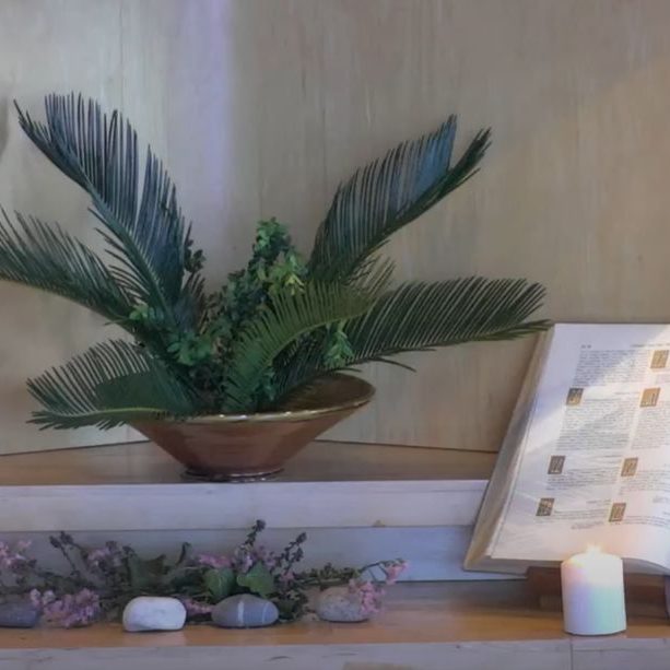 rameaux fleurir bible