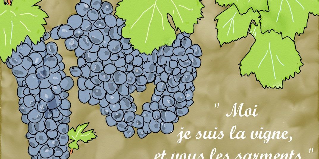 2021 05 02 La vraie vigne