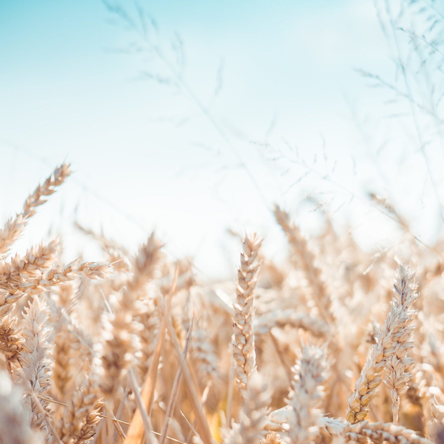 david-becker-7hRx0xpTEhs-unsplash