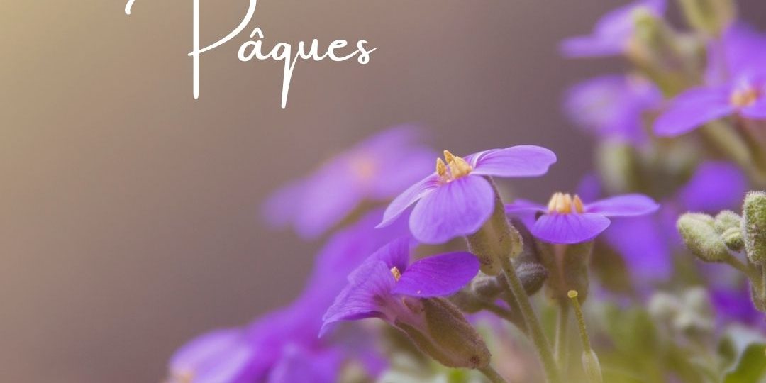 Cheminer vers Pâques (1)