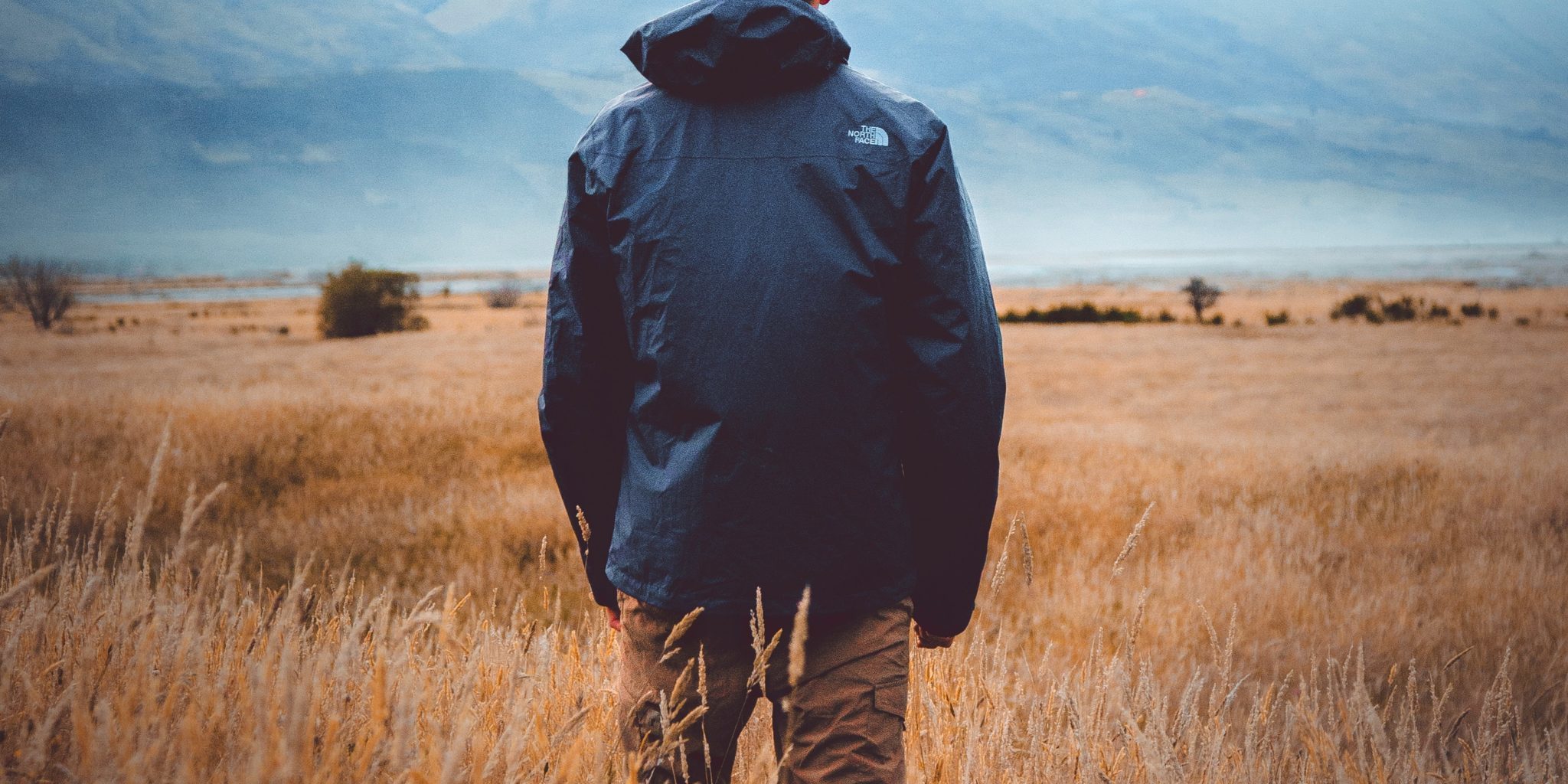 lachlan-dempsey-6VPEOdpFNAs-unsplash